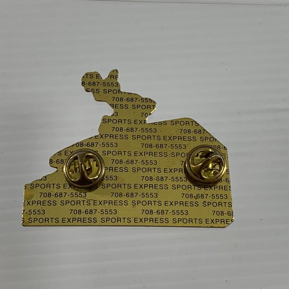 Tidal Waves Lapel Pin Enamel Rid the Wave Crystal Lake Illinois Girls Fastpitch - Picture 2 of 4